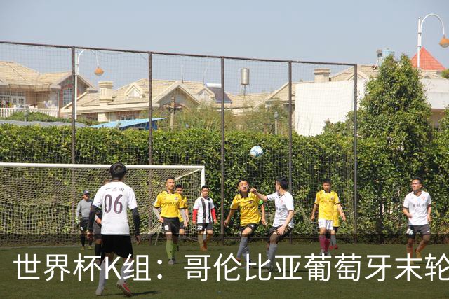 世界杯K组：哥伦比亚葡萄牙末轮交锋定头名 乌兹基本出局