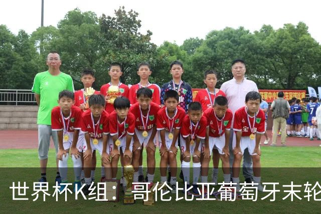 世界杯K组：哥伦比亚葡萄牙末轮交锋定头名 乌兹基本出局