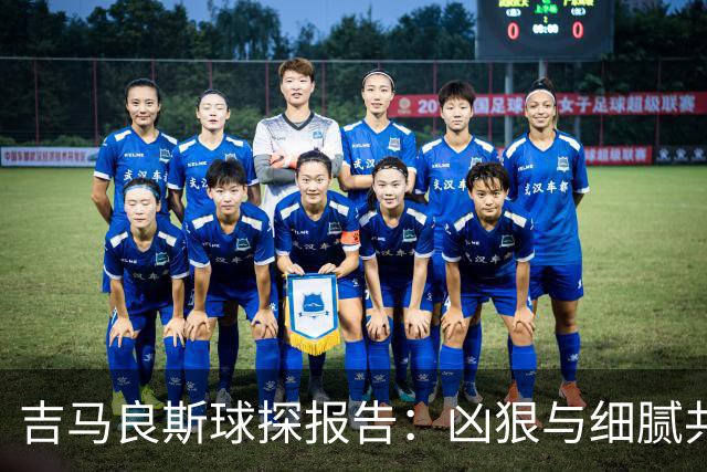 吉马良斯球探报告：凶狠与细腻共存，阿森纳这7500万花的太值