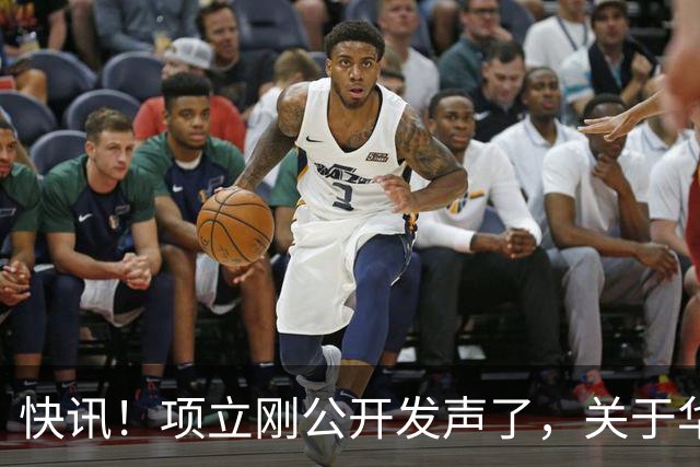 快讯！项立刚公开发声了，关于华为的！