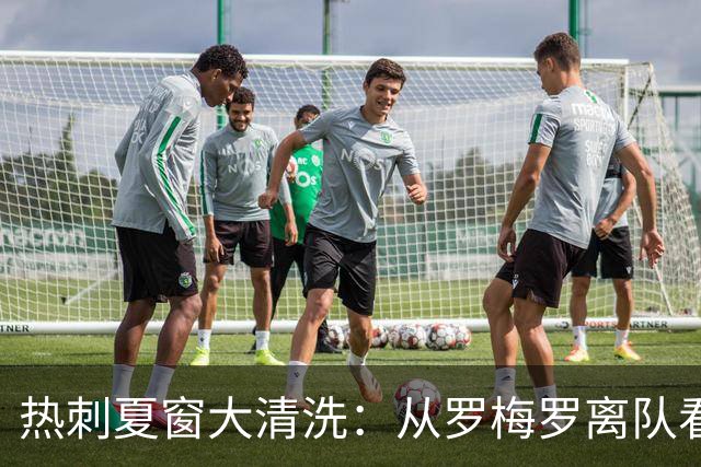 热刺夏窗大清洗：从罗梅罗离队看未来重组之路！