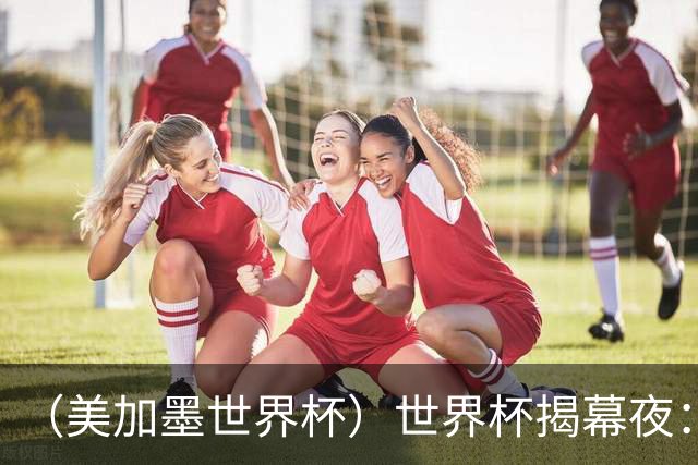 （美加墨世界杯）世界杯揭幕夜：呜呜祖拉在南非响起