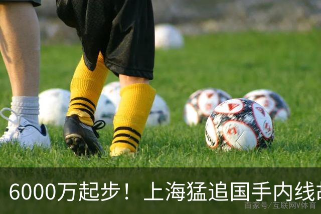 6000万起步！上海猛追国手内线胡金秋，CBA下赛季直接大结局？